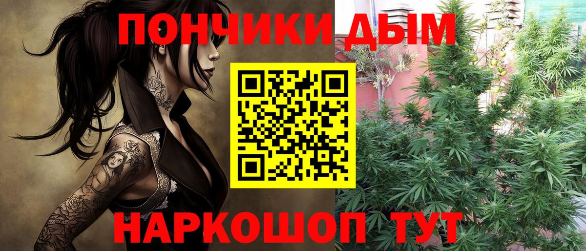 Бошки марихуана планчик Сосновоборск